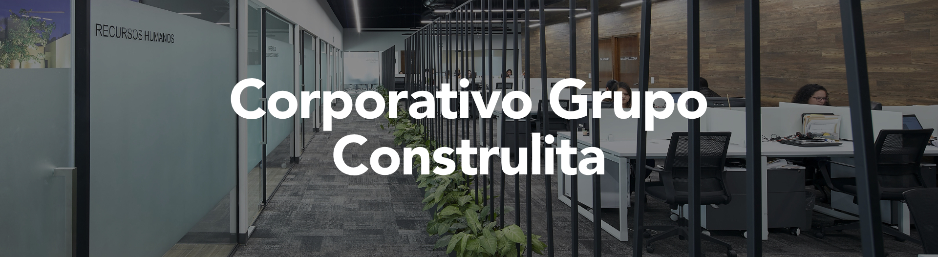 Corporativo ARROW.