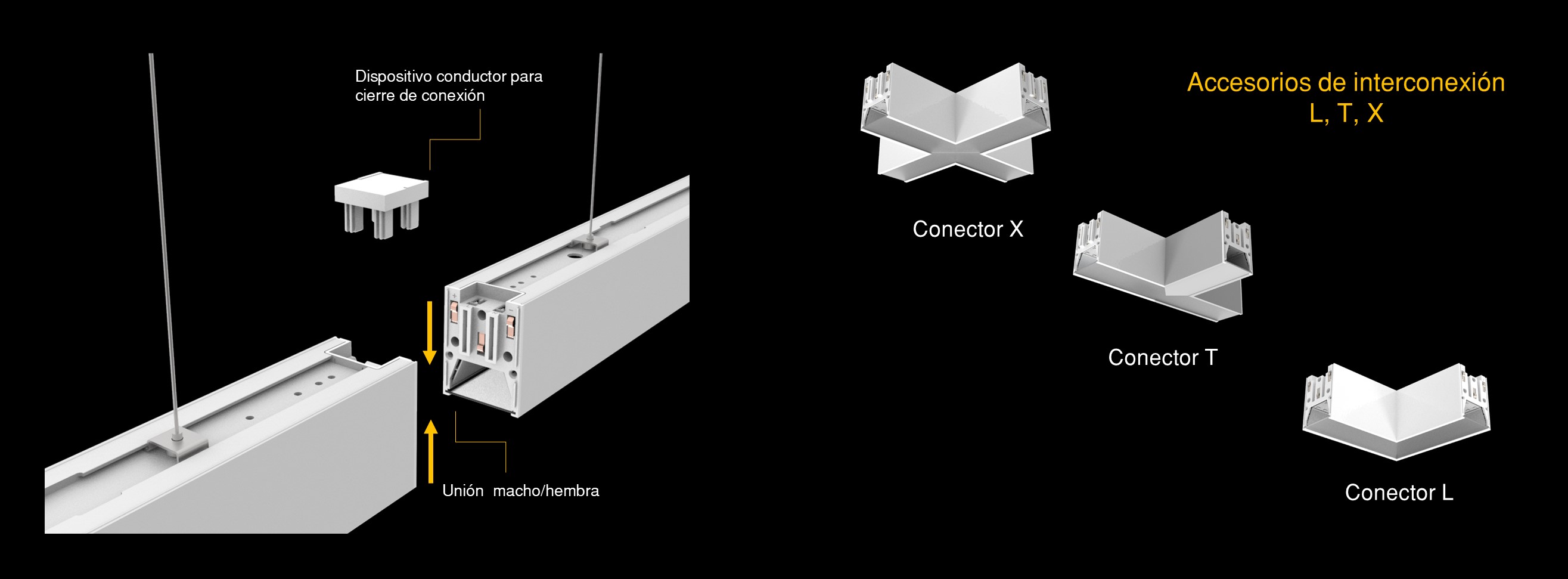 Vector System